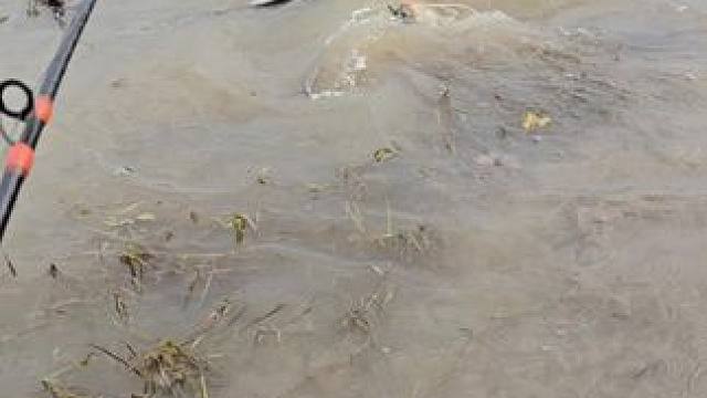 #这鱼哪个钓友看了不羡慕 #12月的鱼应该怎么钓 #每个钓鱼人都有个百斤