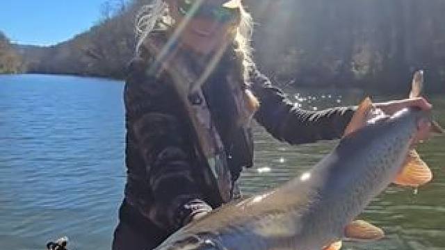 美女钓到一条大狗鱼 #国外视频分享 #好大一条鱼 #钓鱼的乐趣只有钓