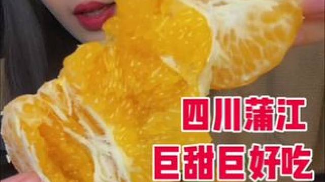 #春见耙耙柑 #耙耙柑熟了 现摘现发的 新鲜度很高 果肉细腻化渣 粒粒分明 特别饱满 8甜2酸 姐妹