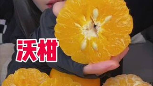 我这个是大果哦 九甜一酸 特别甜 皮薄汁水大 #水果 #沃柑 #皮薄肉厚果实饱满