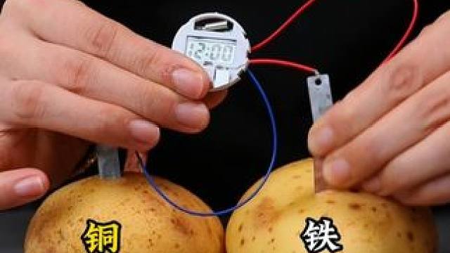 学会这些小实验，你就是孩子心中的偶像，陪孩子一起涨知识吧#科学实验 #小实验大道理