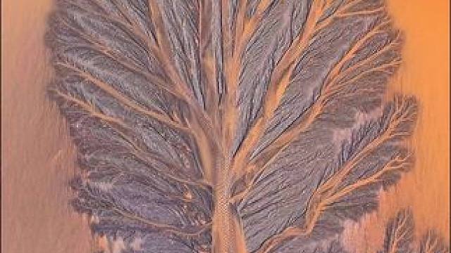 近日，钱塘江在夕阳的映照下，宛如被洒上金粉般熠熠生辉。潮水在岸边留下绵长的足迹，构成震撼壮美的鎏金色