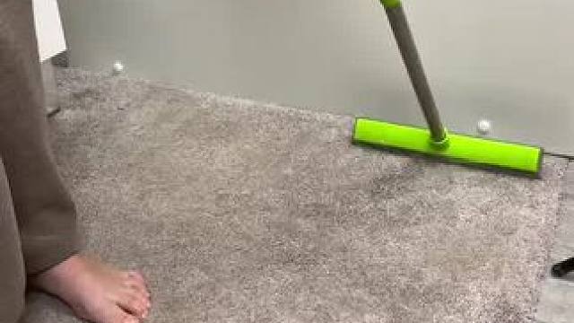 不养猫，永远体会不到那种掉猫毛刮猫毛的快乐，真的治愈又解压 #萌宠好物 #刮毛器