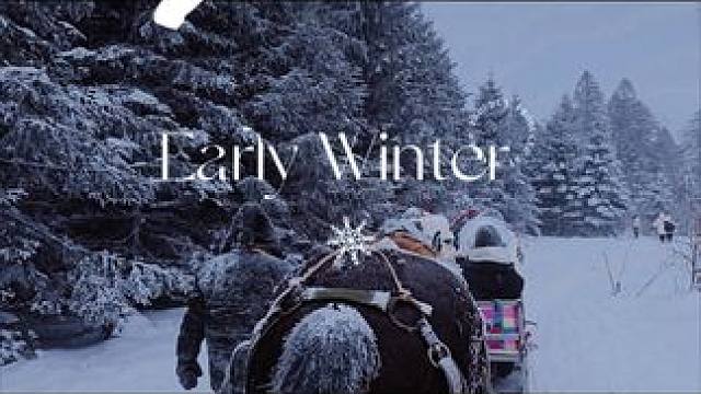 #林深时见鹿 #带你看雪景 #旅行推荐官  #冬天该有的样子 #长白山
雪岭-马拉爬犁⛄
赶上了长白