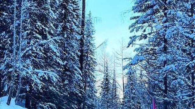 “纵你遇人何其多，再无一人恰似我。”#喀纳斯 #在冬日见到了传说中的仙境 #创作者中心 #创作灵感 