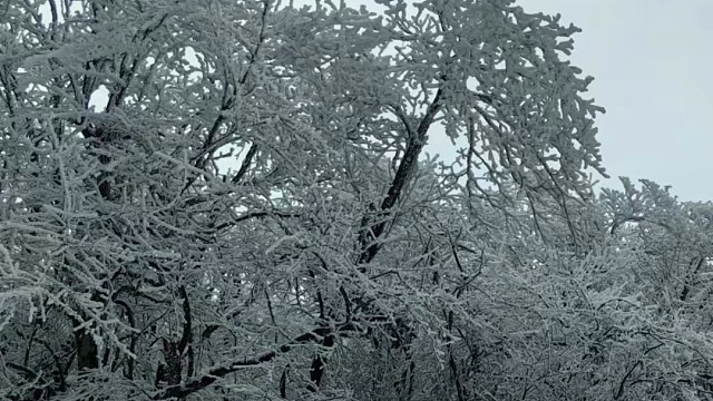 杭州下雪了