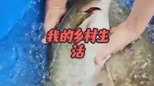 #荒野建造 #我的乡村生活 #内容启发搜索 #美女