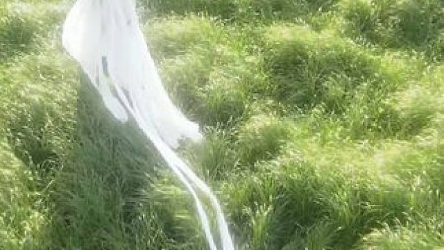 千番振翅  万归自由
#千鹤万蝶 #古风舞蹈 #仙鹤