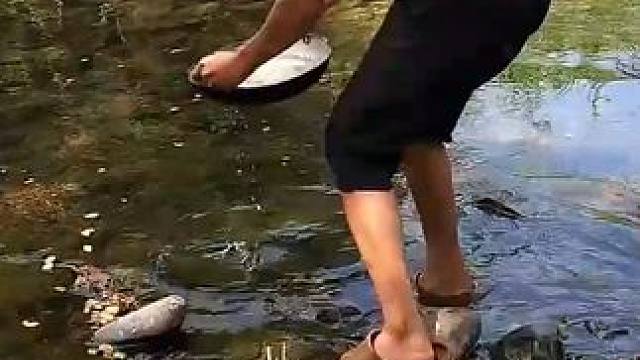 猪胃与红蚁蛋一起烹饪，美味可口，在丛林中食用 #野外生活纪录片 #大自然的馈赠 #记录真实生活 #生