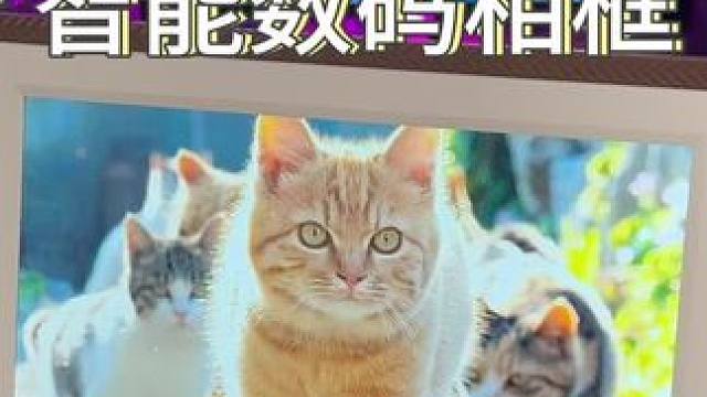 能存储照片甚至播放视频的#ARZOPA数码相框 很适合送给心爱的人！#电子相框 #数码相框 #礼物 