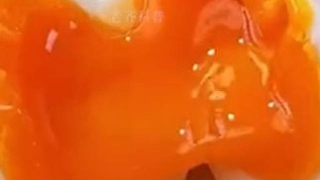 这样养鸡下的蛋你吃过吗？#无菌蛋 #土鸡蛋 #溏心蛋 #始祖黑鸡蛋