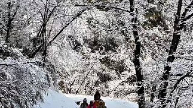 冬天该有的样子冰天雪地#雾凇美景 #踏雪而行 #银装素裹 #雪树银花 #雪一落这里就美成了诗