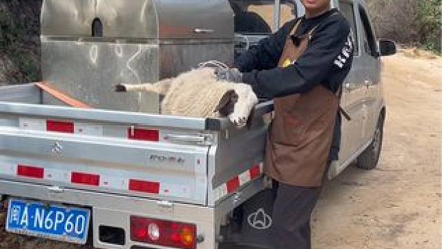 #烤全羊 #外酥里嫩 #同城美食 #团建 #活羊