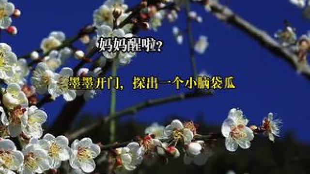 #广播剧 #陈伤 墨墨是个小天使，我真的说累了～