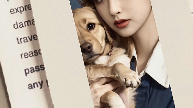 新人，请多多关照