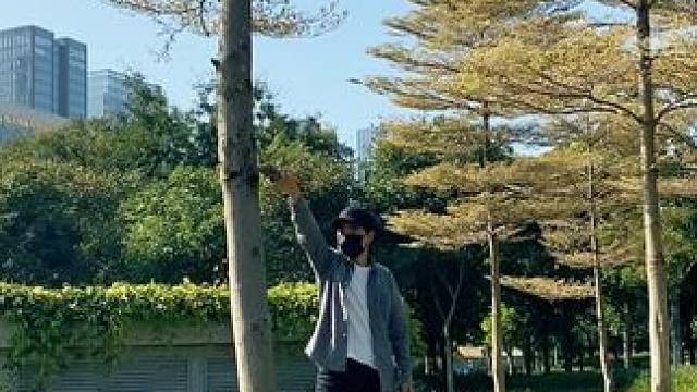 大树一镜到底试试这样拍#手机摄影 #拍摄技巧 #大树 #治愈系风景 #治愈系