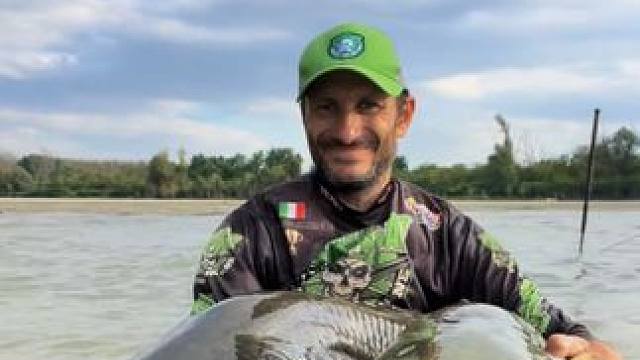 大鲶鱼 #国外视频分享 #好大一条鱼 #钓鱼的乐趣只有钓鱼人懂