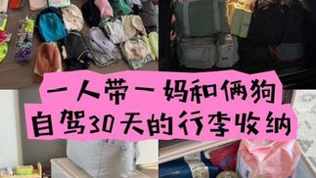 一人带一妈和两只狗自驾海南一个月的小狗行李收纳 河北和北京交接地出发自驾海南 ，往返预计30天的俩人