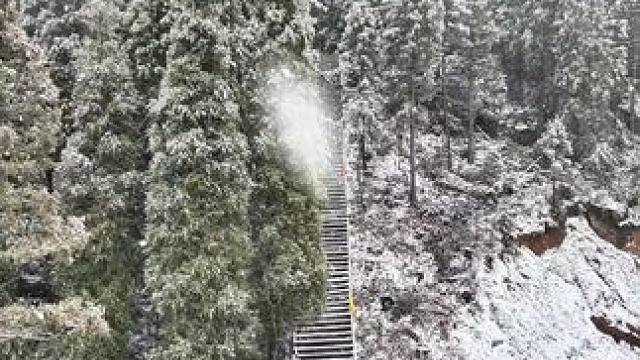 我这里下雪了你那里呢？#雪一落这里就美成了诗 #冬季赏雪好去处 #银装素裹 #白雪却嫌春色晚 #分享