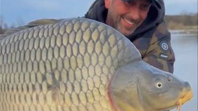 亚洲鲤鱼 #好大一条鱼 #钓鱼的乐趣只有钓鱼人懂