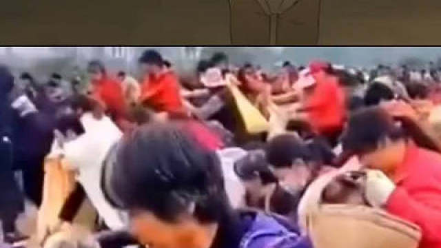 这不挺写实的么