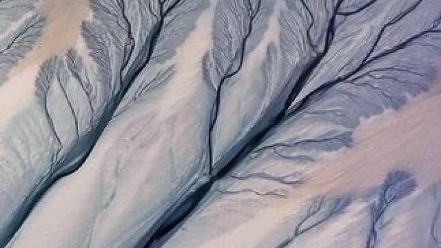 钱塘江大潮退去，会发现一幅浑然天成的妙笔丹青。绝美潮汐树枝繁叶茂，静静诉说着自然的生命力量，宛如一幅