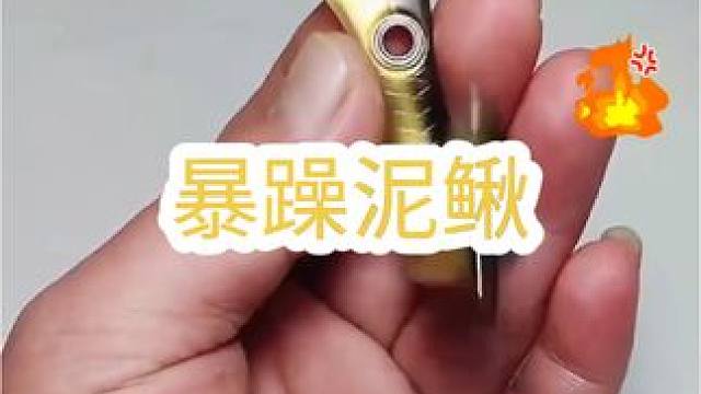 这条泥鳅脾气不太好 看见大鱼也不怂，很暴躁 真的很暴躁#路亚假饵