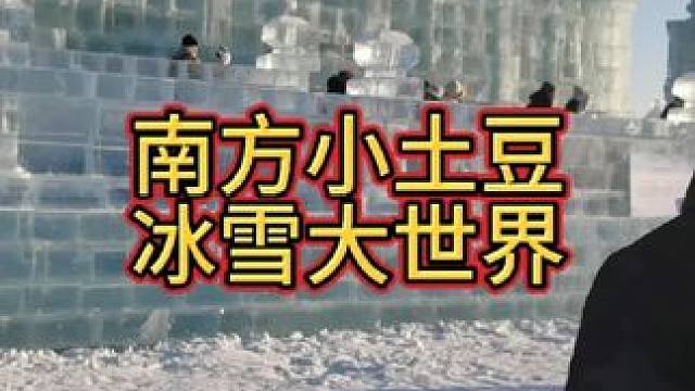 很遗憾，没看到大雪 