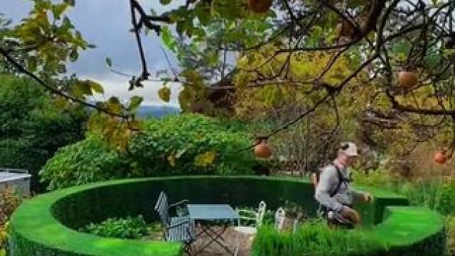 庭院除草修剪，国外高薪好职业！ #解压视频 #强迫症看了很享受 #除草视频解压 #庭院清理 #极度舒