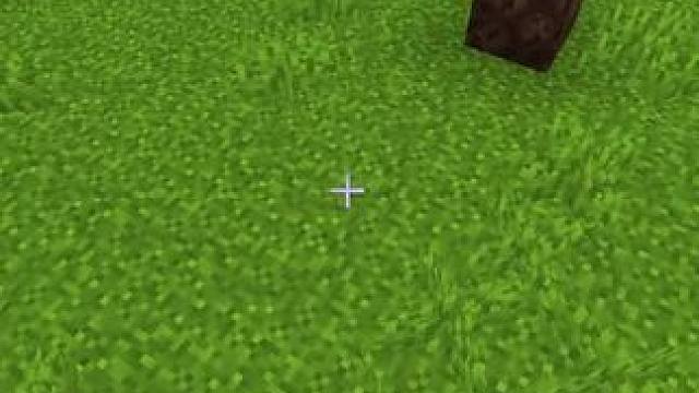 #我的世界 #Minecraft