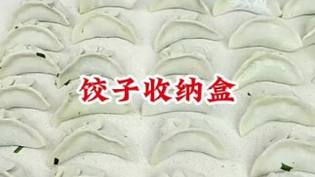 #饺子收纳盒 #冻饺子盒家用多层 #食品级饺子保鲜盒 #厨房好物 #方便又实用