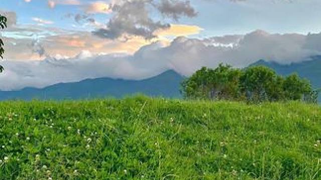 用牛奶制作的奶包子你吃过吗？一口爆浆营养丰富，真的太好吃了！#奶包子 #妈呀太香了 #奶疙瘩