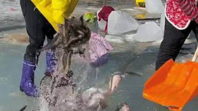 #户外捕鱼 #好多鱼