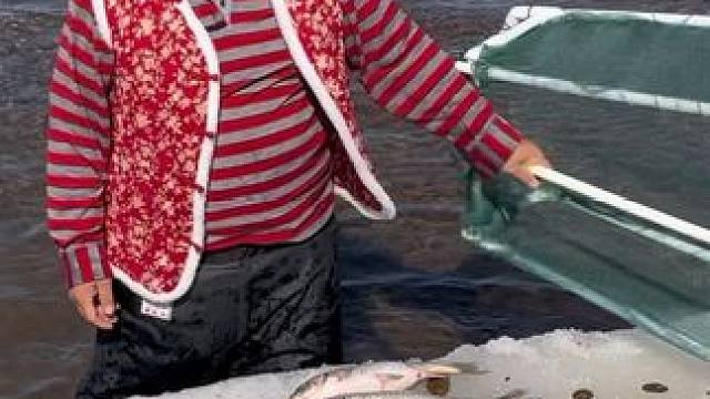 #户外捕鱼 #好多鱼