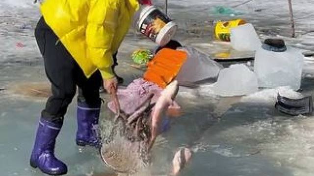 #户外捕鱼 #好多鱼