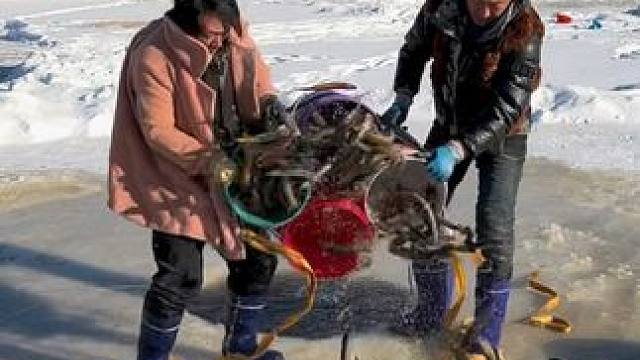 #户外捕鱼 #好多鱼