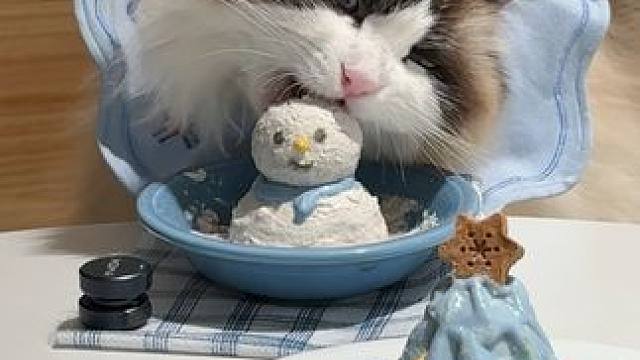 ☃️：谁啃我脑瓜子呢 #熟自制 #自制宠物零食 #圣诞树 #宠物美食