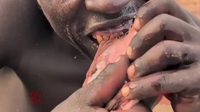 哈扎比部落日常饮食！ #纪录片 #哈扎比部落 #内容启发搜索