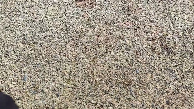 楼梯滚瓶子爆破解压时刻