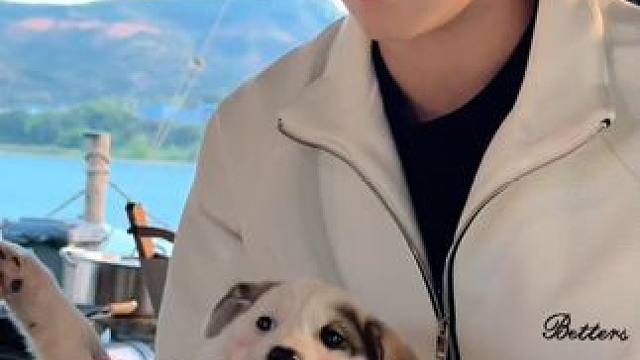 恋爱互动剧《无法抗拒的他们》 #无法抗拒的他们 它跟你一样可爱⚈₃⚈但又有一点不一样。它喜欢往我怀里