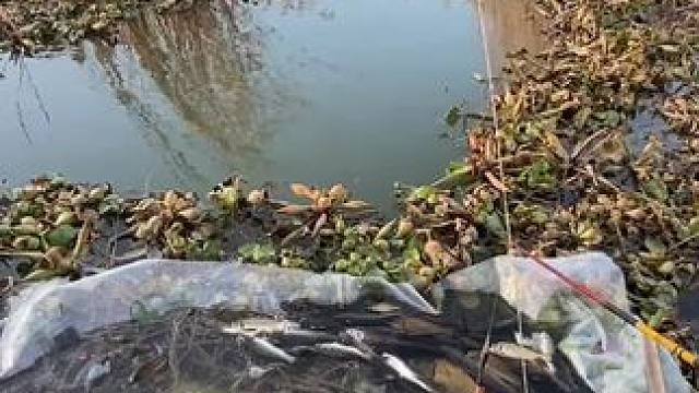 钓鱼的乐趣只有钓鱼人懂~