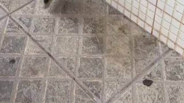 瓷砖强力清洁剂，解决反碱，发黑，发黄，铁锈等问题，厕所清洁的好帮手！