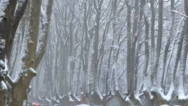 #适合P人的出行攻略  这个冬天，开往南京的列车我先冲为敬！ #在南京适合p人的旅游攻略 #南京 #