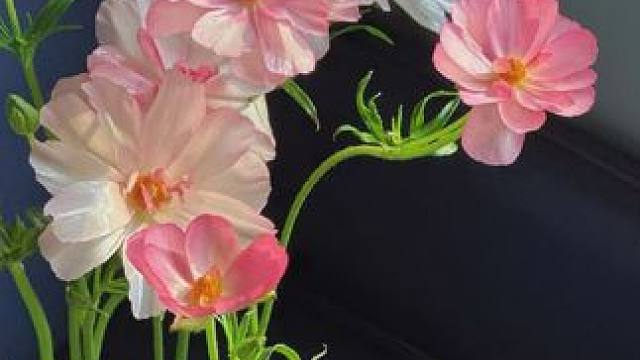 家里有上学，需要穿校服的孩子这种内胆神器，太实穿了#谁穿谁好看#便宜又好穿 #冬天就要保暖又好看#男