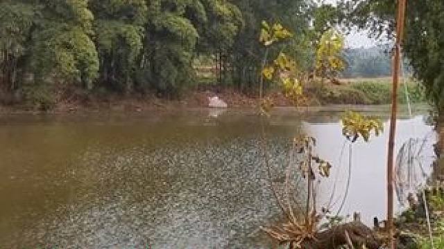 野钓河沟，上大板鲫？ #冬天总要出门钓一次鱼吧 #爱生活爱钓鱼 #钓鱼人的