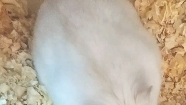 忙的忙死，闲的闲死！