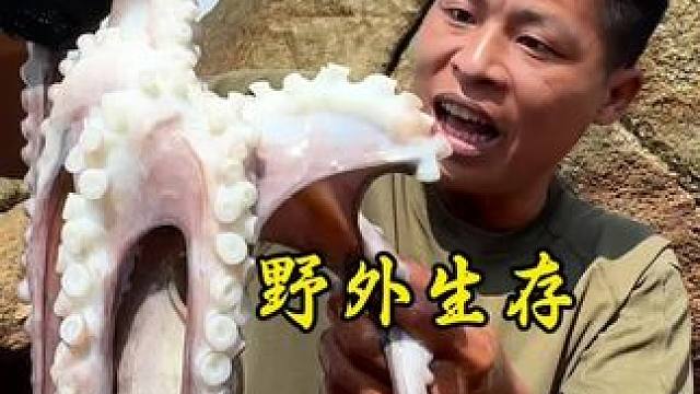 野外生存 第41集｜用两条几十斤的大鱼打窝，没想到会吸引来这么多海货#野外生存 #户外 #探险 #潮