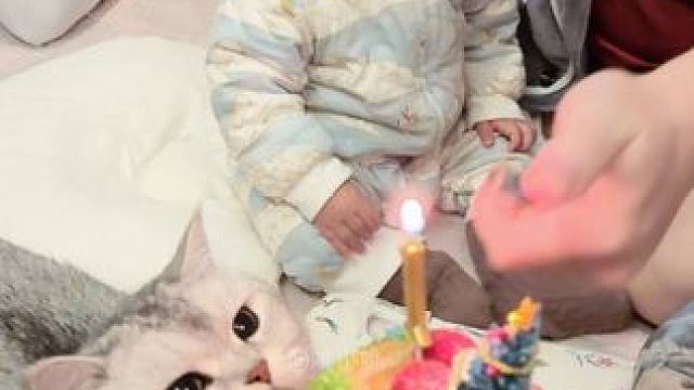 弟弟一周岁啦，我们和阿蛋给弟弟过生日 #萌娃和萌宠 #它只是不会说话其实它什么都懂 #随拍 #生日快