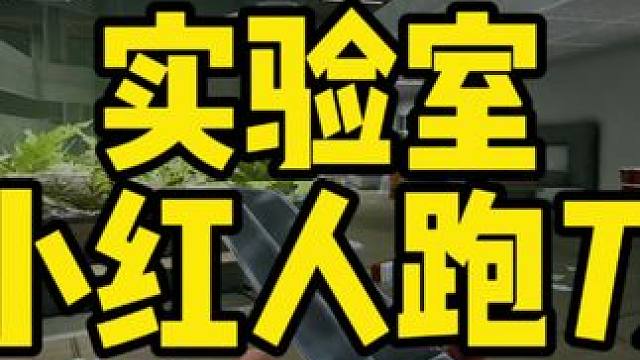 #逃离塔科夫  实验室小红人跑刀