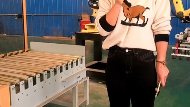 码垛搬运机器人 机械手码垛机，生物质颗粒用的码垛机多少钱#高速机械手 #堆垛机 #机械手 #机械臂